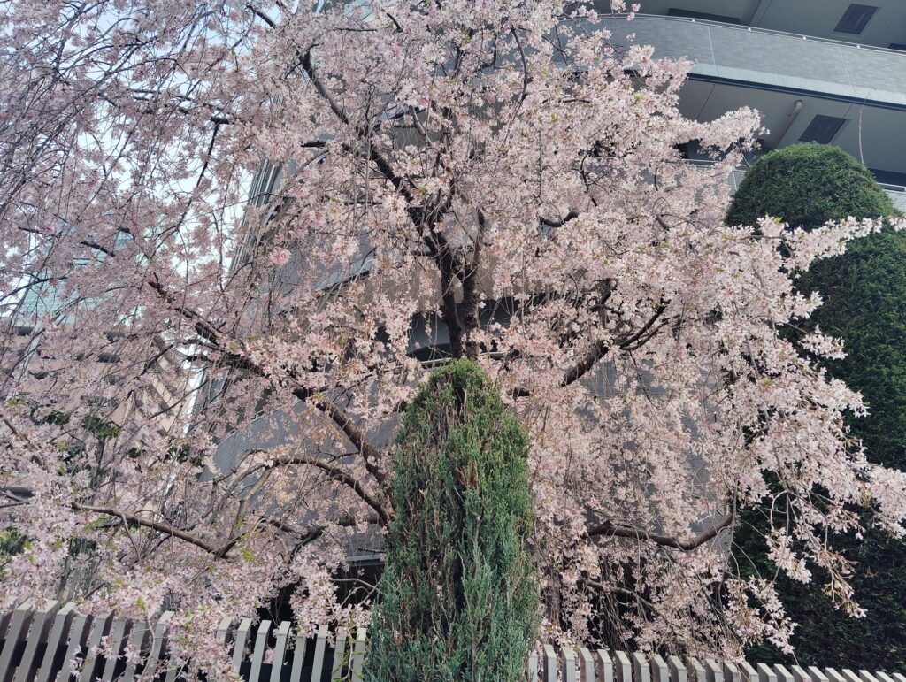 阿倍野　心療内科　ハタクリニック
